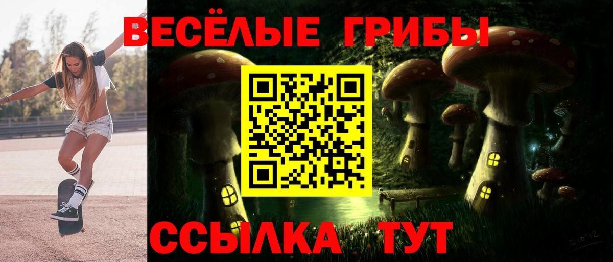 Псилоцибиновые грибы Psilocybe  цены наркотик  Серов  Вход с VPN 